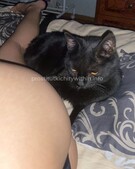 Анкета проститутки Анечка - метро Перово, возраст - 25